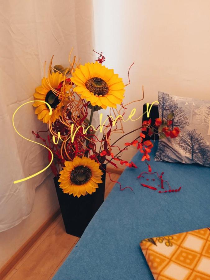 Studio Eva Sajmiste 外观 照片